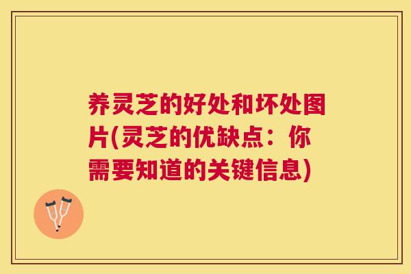 养灵芝的好处和坏处图片(灵芝的优缺点：你需要知道的关键信息)