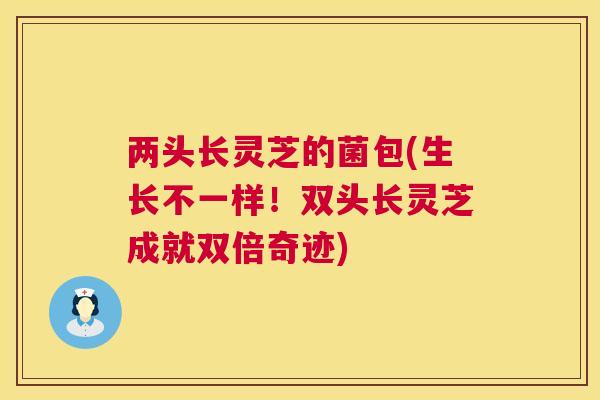 两头长灵芝的菌包(生长不一样！双头长灵芝成就双倍奇迹)