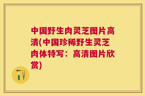 中国野生肉灵芝图片高清(中国珍稀野生灵芝肉体特写：高清图片欣赏)