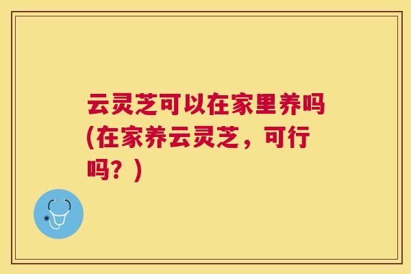 云灵芝可以在家里养吗(在家养云灵芝，可行吗？)