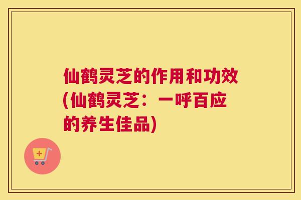 仙鹤灵芝的作用和功效(仙鹤灵芝：一呼百应的养生佳品)
