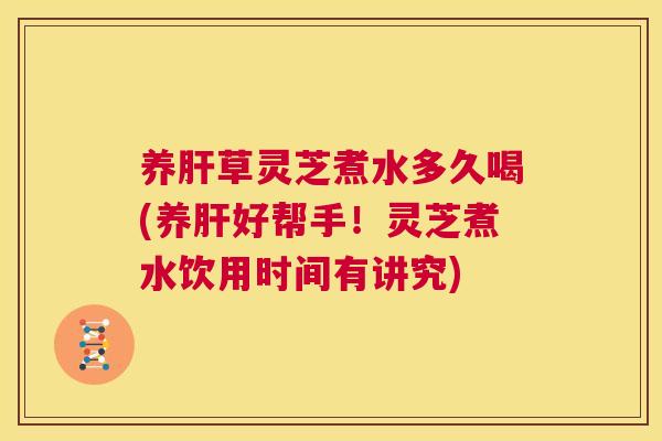 养草灵芝煮水多久喝(养好帮手！灵芝煮水饮用时间有讲究)