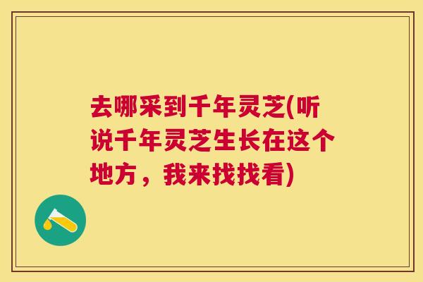 去哪采到千年灵芝(听说千年灵芝生长在这个地方，我来找找看)