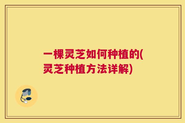 一棵灵芝如何种植的(灵芝种植方法详解)