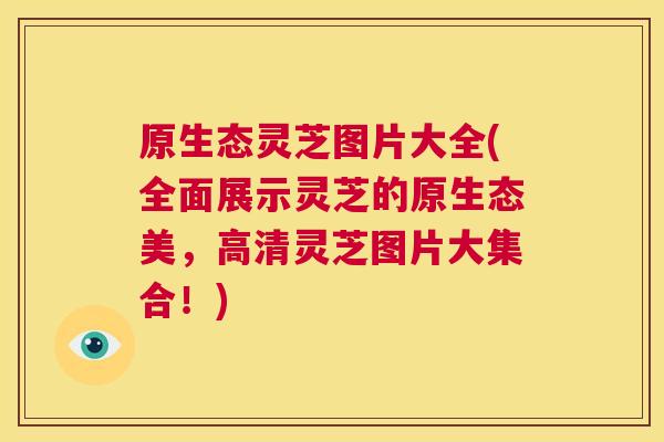 原生态灵芝图片大全(全面展示灵芝的原生态美，高清灵芝图片大集合！)