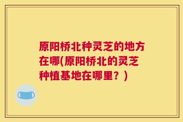 原阳桥北种灵芝的地方在哪(原阳桥北的灵芝种植基地在哪里？)