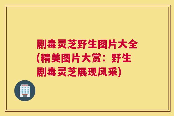 剧毒灵芝野生图片大全(精美图片大赏：野生剧毒灵芝展现风采)