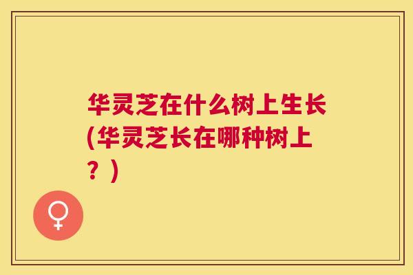 华灵芝在什么树上生长(华灵芝长在哪种树上？)