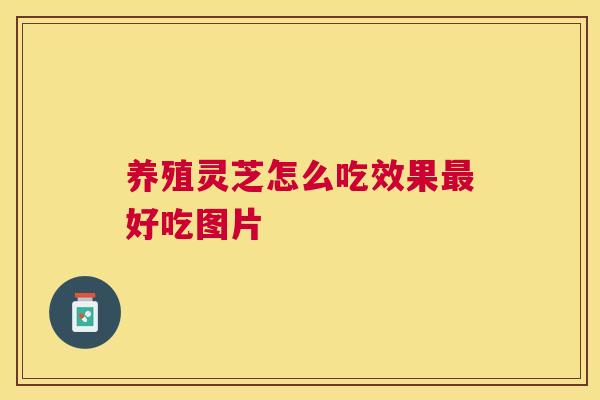 养殖灵芝怎么吃效果好吃图片