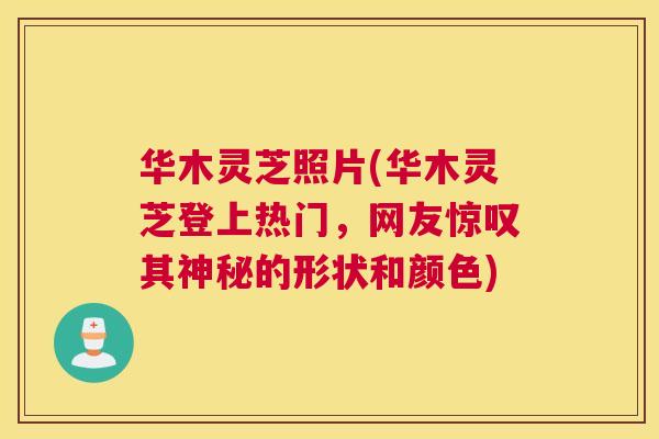 华木灵芝照片(华木灵芝登上热门，网友惊叹其神秘的形状和颜色)