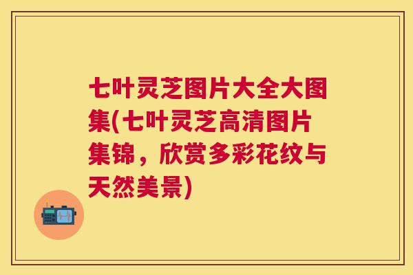 七叶灵芝图片大全大图集(七叶灵芝高清图片集锦，欣赏多彩花纹与天然美景)