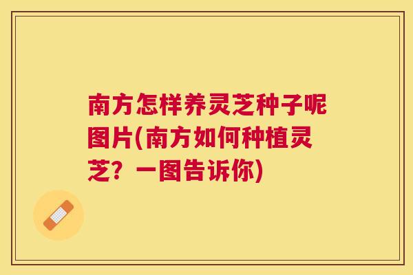 南方怎样养灵芝种子呢图片(南方如何种植灵芝？一图告诉你)