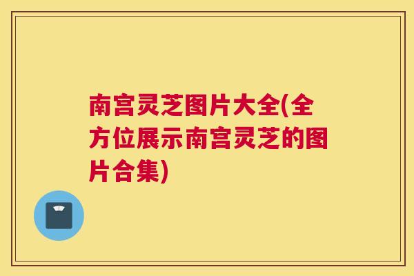 南宫灵芝图片大全(全方位展示南宫灵芝的图片合集)