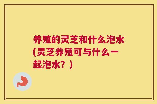 养殖的灵芝和什么泡水(灵芝养殖可与什么一起泡水？)