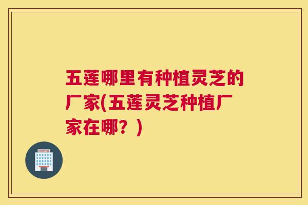 五莲哪里有种植灵芝的厂家(五莲灵芝种植厂家在哪？)