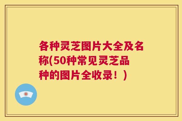 各种灵芝图片大全及名称(50种常见灵芝品种的图片全收录！)