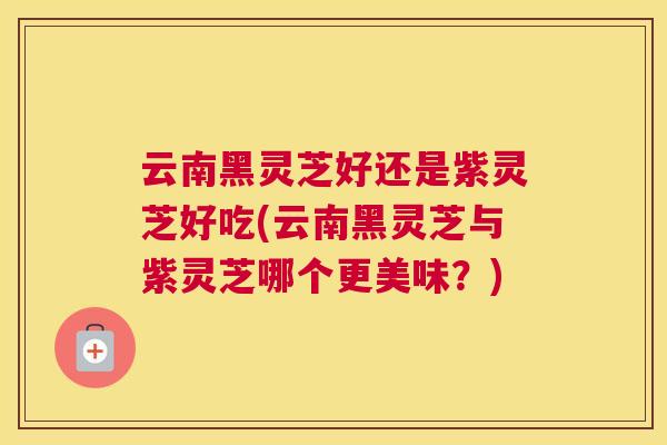 云南黑灵芝好还是紫灵芝好吃(云南黑灵芝与紫灵芝哪个更美味？)