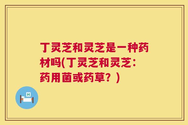 丁灵芝和灵芝是一种药材吗(丁灵芝和灵芝：药用菌或药草？)