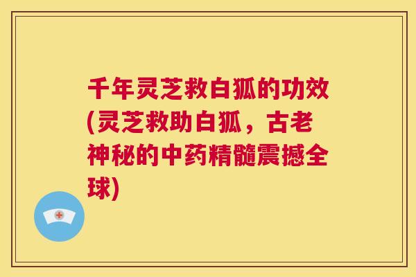千年灵芝救白狐的功效(灵芝救助白狐，古老神秘的精髓震撼全球)