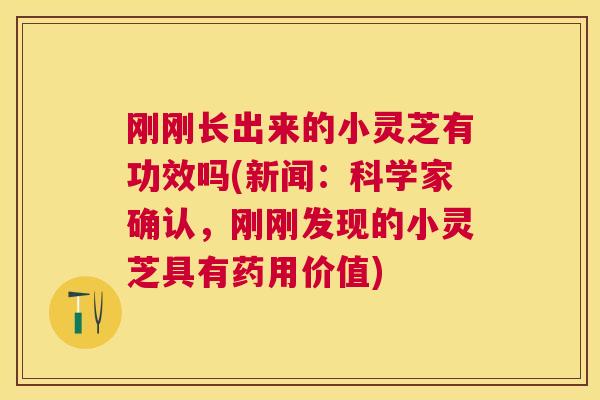 刚刚长出来的小灵芝有功效吗(新闻：科学家确认，刚刚发现的小灵芝具有药用价值)