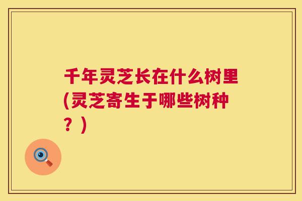 千年灵芝长在什么树里(灵芝寄生于哪些树种？)