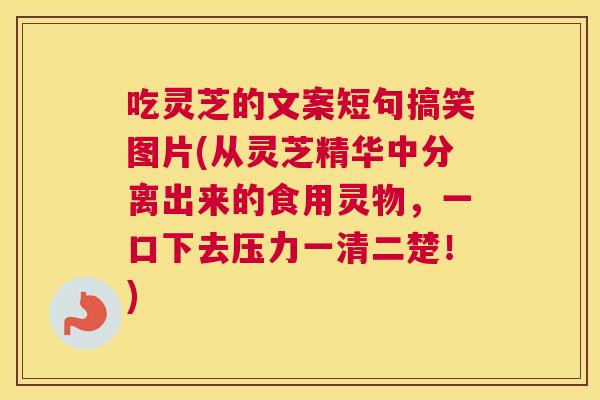 吃灵芝的文案短句搞笑图片(从灵芝精华中分离出来的食用灵物，一口下去压力一清二楚！)