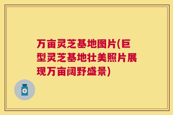 万亩灵芝基地图片(巨型灵芝基地壮美照片展现万亩阔野盛景)