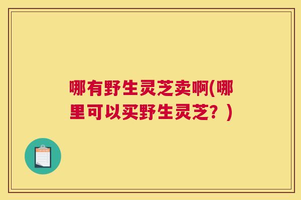 哪有野生灵芝卖啊(哪里可以买野生灵芝？)