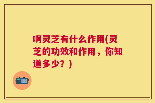 啊灵芝有什么作用(灵芝的功效和作用，你知道多少？)
