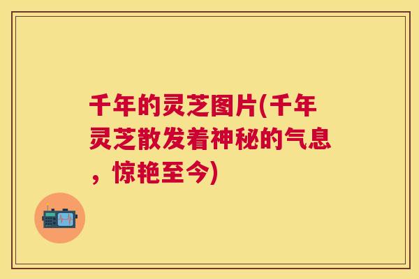 千年的灵芝图片(千年灵芝散发着神秘的气息，惊艳至今)