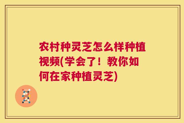 农村种灵芝怎么样种植视频(学会了！教你如何在家种植灵芝)
