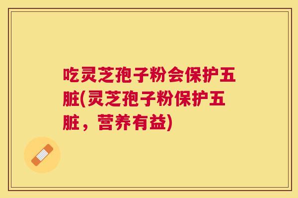 吃灵芝孢子粉会保护五脏(灵芝孢子粉保护五脏，营养有益)