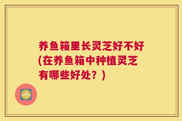 养鱼箱里长灵芝好不好(在养鱼箱中种植灵芝有哪些好处？)