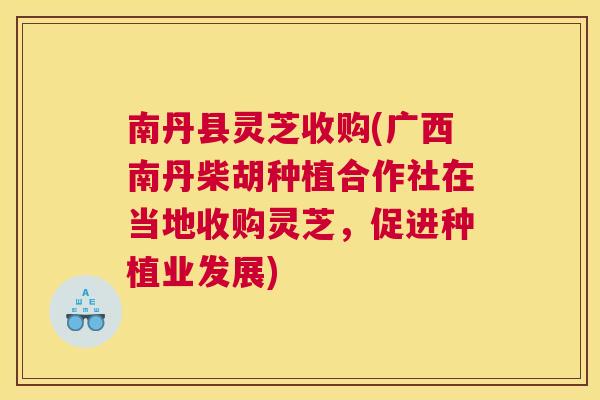 南丹县灵芝收购(广西南丹柴胡种植合作社在当地收购灵芝，促进种植业发展)
