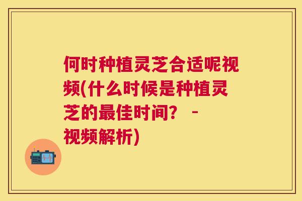 何时种植灵芝合适呢视频(什么时候是种植灵芝的佳时间？ - 视频解析)