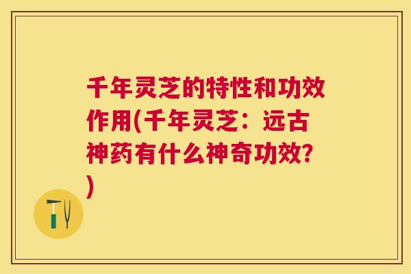 千年灵芝的特性和功效作用(千年灵芝：远古神药有什么神奇功效？)