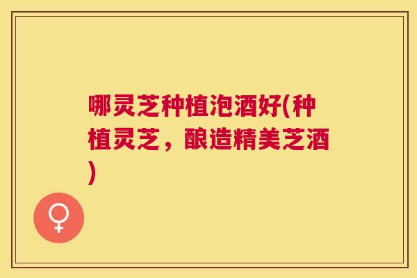 哪灵芝种植泡酒好(种植灵芝，酿造精美芝酒)