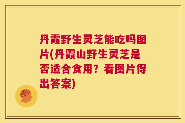 丹霞野生灵芝能吃吗图片(丹霞山野生灵芝是否适合食用？看图片得出答案)