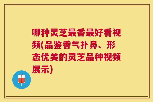 哪种灵芝香好看视频(品鉴香气扑鼻、形态优美的灵芝品种视频展示)