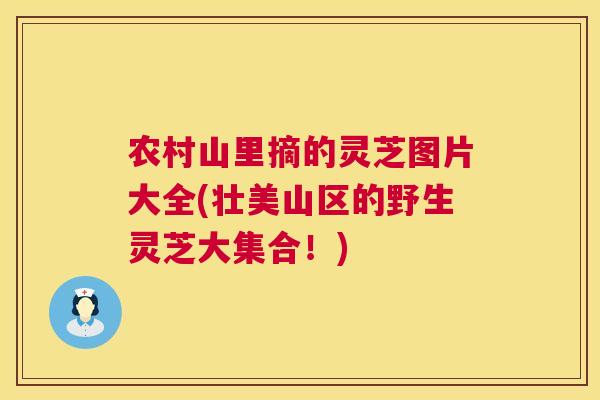 农村山里摘的灵芝图片大全(壮美山区的野生灵芝大集合！)