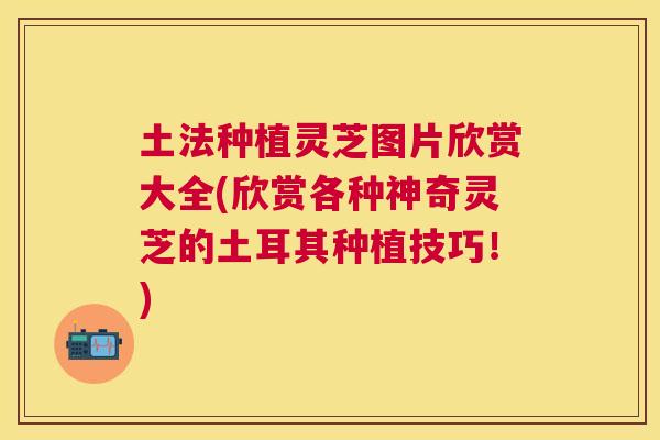 土法种植灵芝图片欣赏大全(欣赏各种神奇灵芝的土耳其种植技巧！)