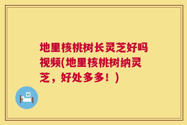 地里核桃树长灵芝好吗视频(地里核桃树纳灵芝，好处多多！)