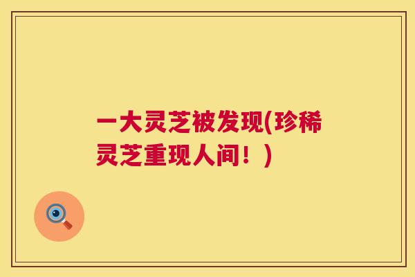 一大灵芝被发现(珍稀灵芝重现人间！)