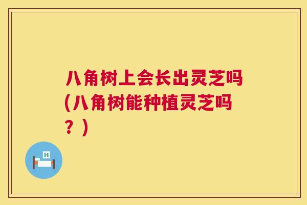 八角树上会长出灵芝吗(八角树能种植灵芝吗？)