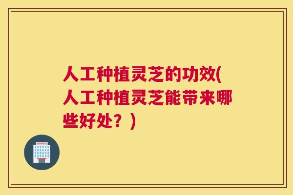 人工种植灵芝的功效(人工种植灵芝能带来哪些好处？)