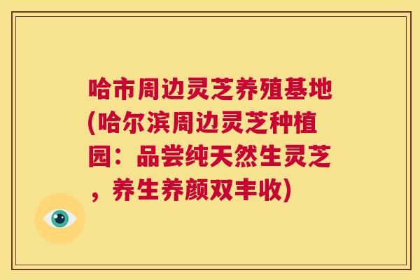 哈市周边灵芝养殖基地(哈尔滨周边灵芝种植园：品尝纯天然生灵芝，养生养颜双丰收)