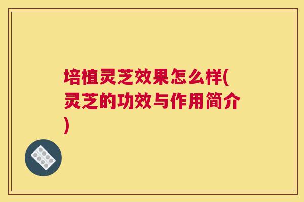 培植灵芝效果怎么样(灵芝的功效与作用简介)