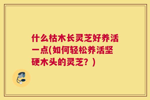 什么枯木长灵芝好养活一点(如何轻松养活坚硬木头的灵芝？)