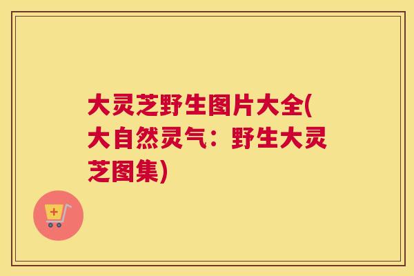 大灵芝野生图片大全(大自然灵气：野生大灵芝图集)