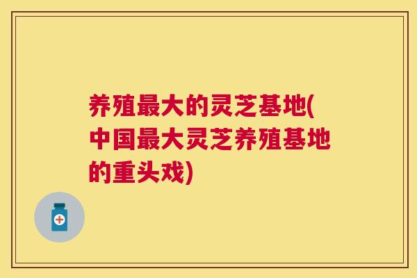 养殖大的灵芝基地(中国大灵芝养殖基地的重头戏)